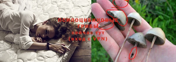герыч Алексин